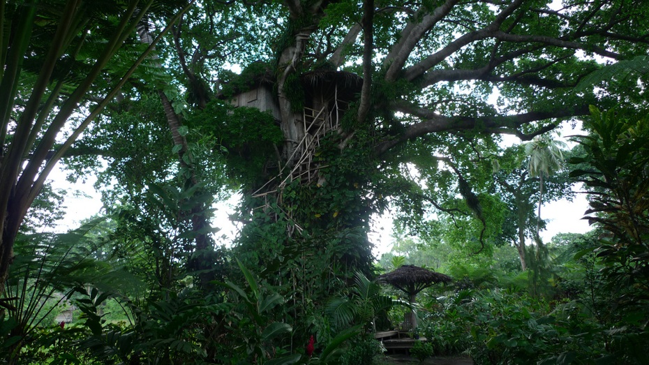 2011/04/cachefly-20100810-vanuatu