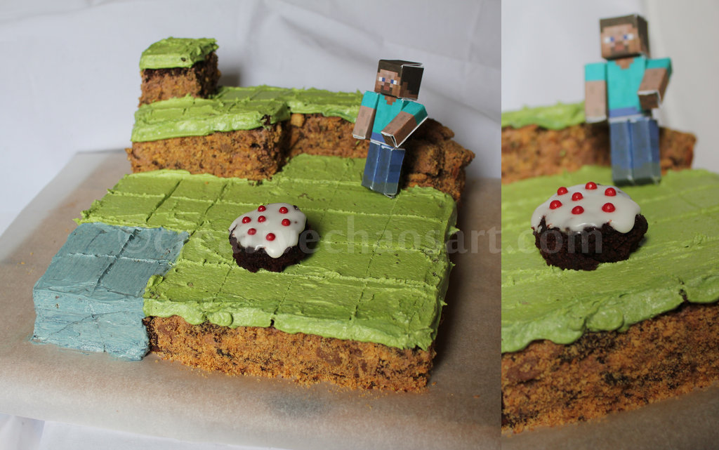 2011/04/deviantart-minecraft-cake-by-bicyclegasoline-d3d741f