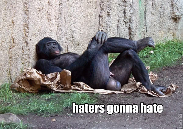 2011/04/iruntheinternet-haters-gonna-hate-monkey-crossed-20legs-1291945299k