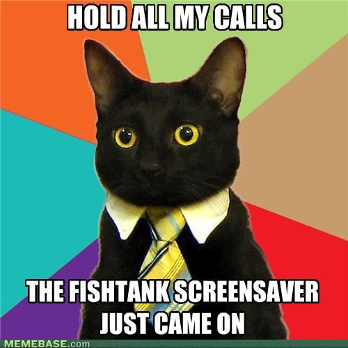 2011/04/memes-business-cat-hold-my-calls1