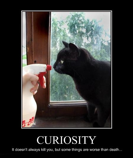 2012/03/curious