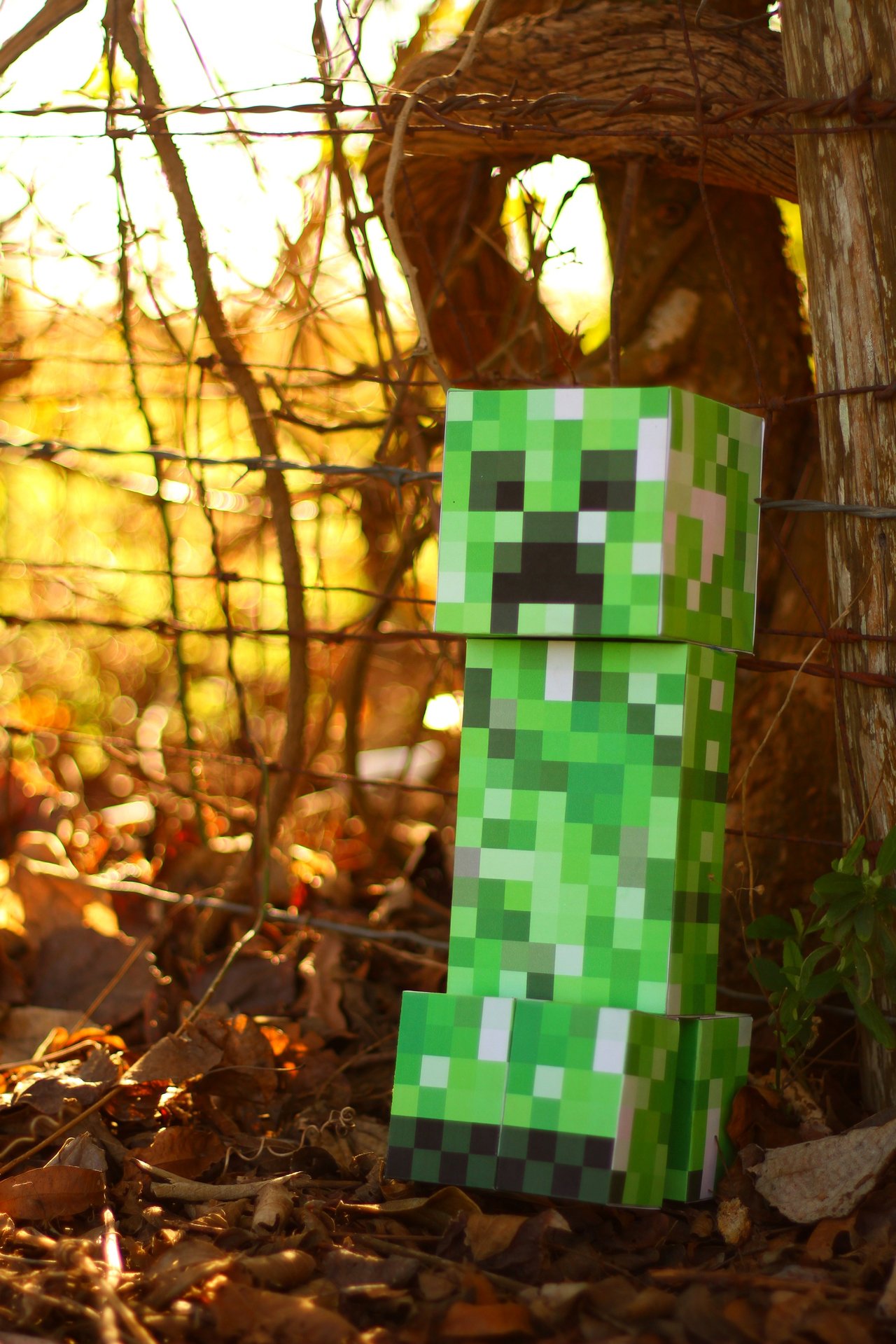 2012/03/deviantart-papercraft-creeper-01-by-invincibilis-d4nsnbz