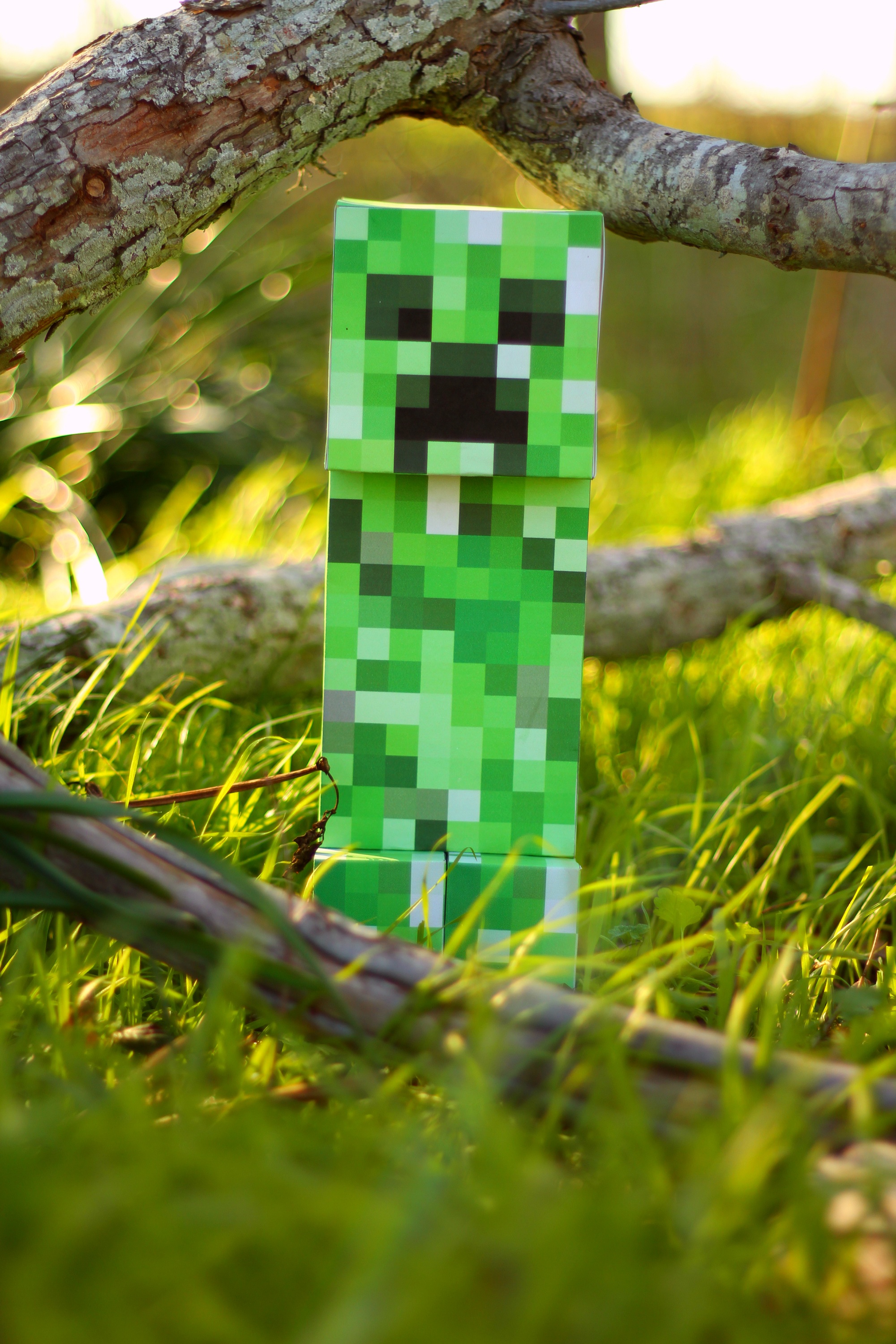 2012/03/deviantart-papercraft-creeper-02-by-invincibilis-d4nsnjb