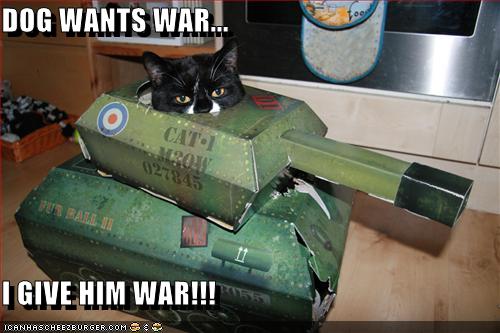 2012/03/firearmstalk-9674d1263530633-battle-pictures-war-funny-pictures-cat-gives-dog-war