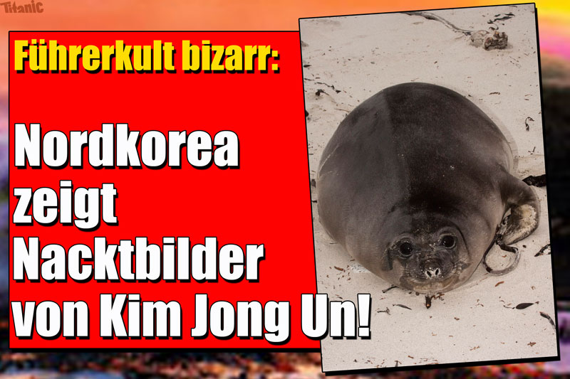 2012/03/kim-jong-un-nackt