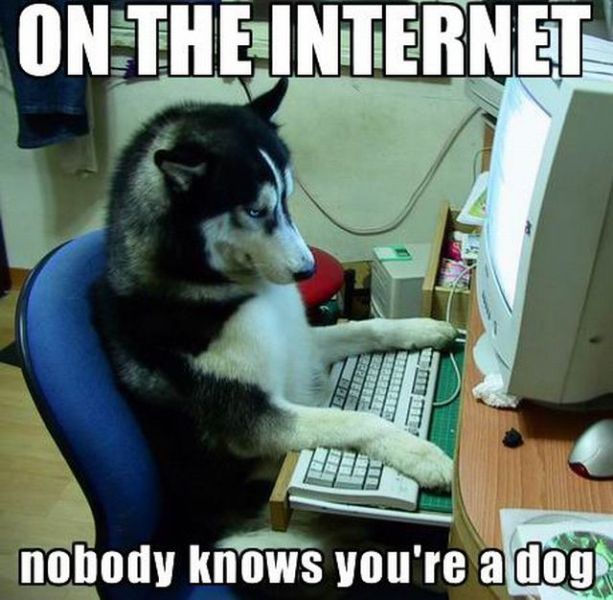 2012/03/on-the-internet-nobody-knows-youre-a-dog