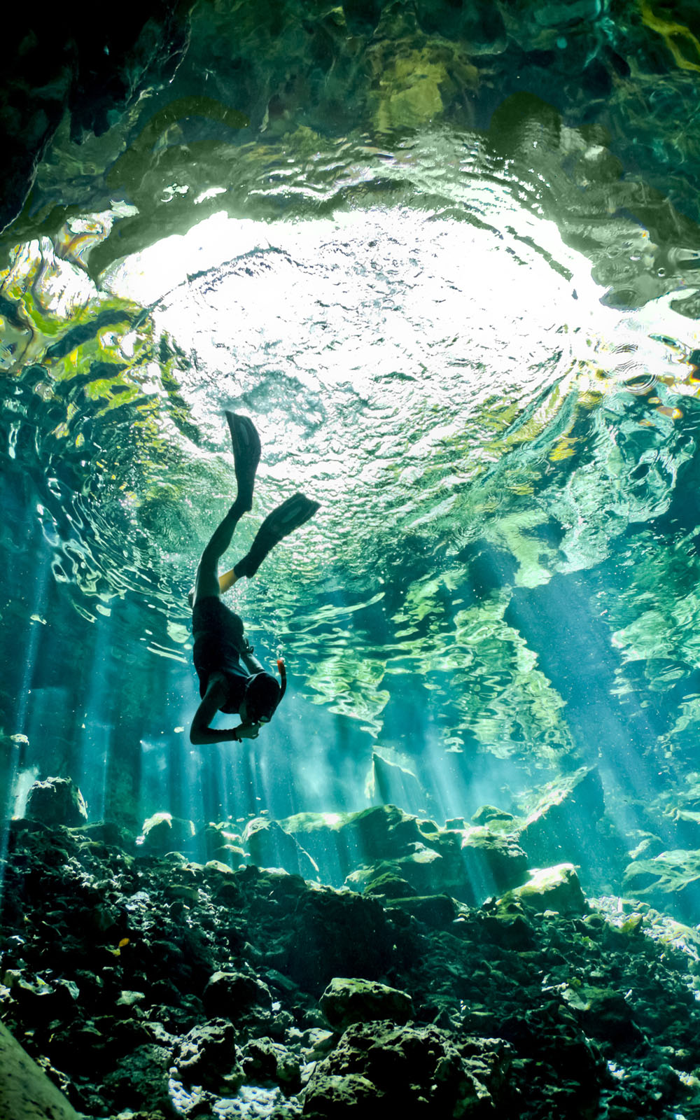 2012/09/descending-in-cenote2