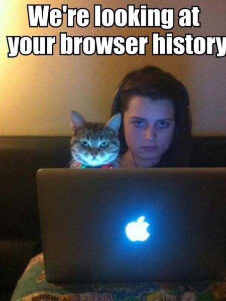 2015/04/guyism-browser-history-guyism