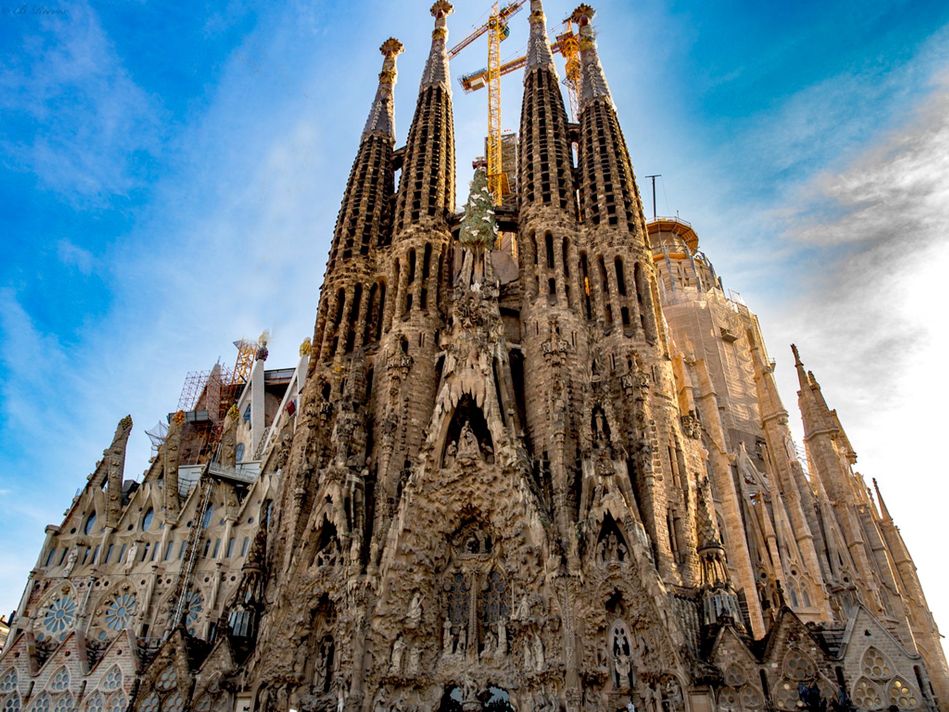 2022/02/sagradafamilia03