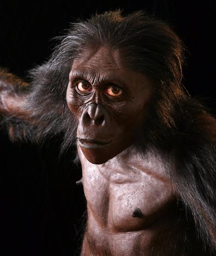 2022/03/1st-white-homonin-graecopithecus-freybergi-7-2-mill-yrs