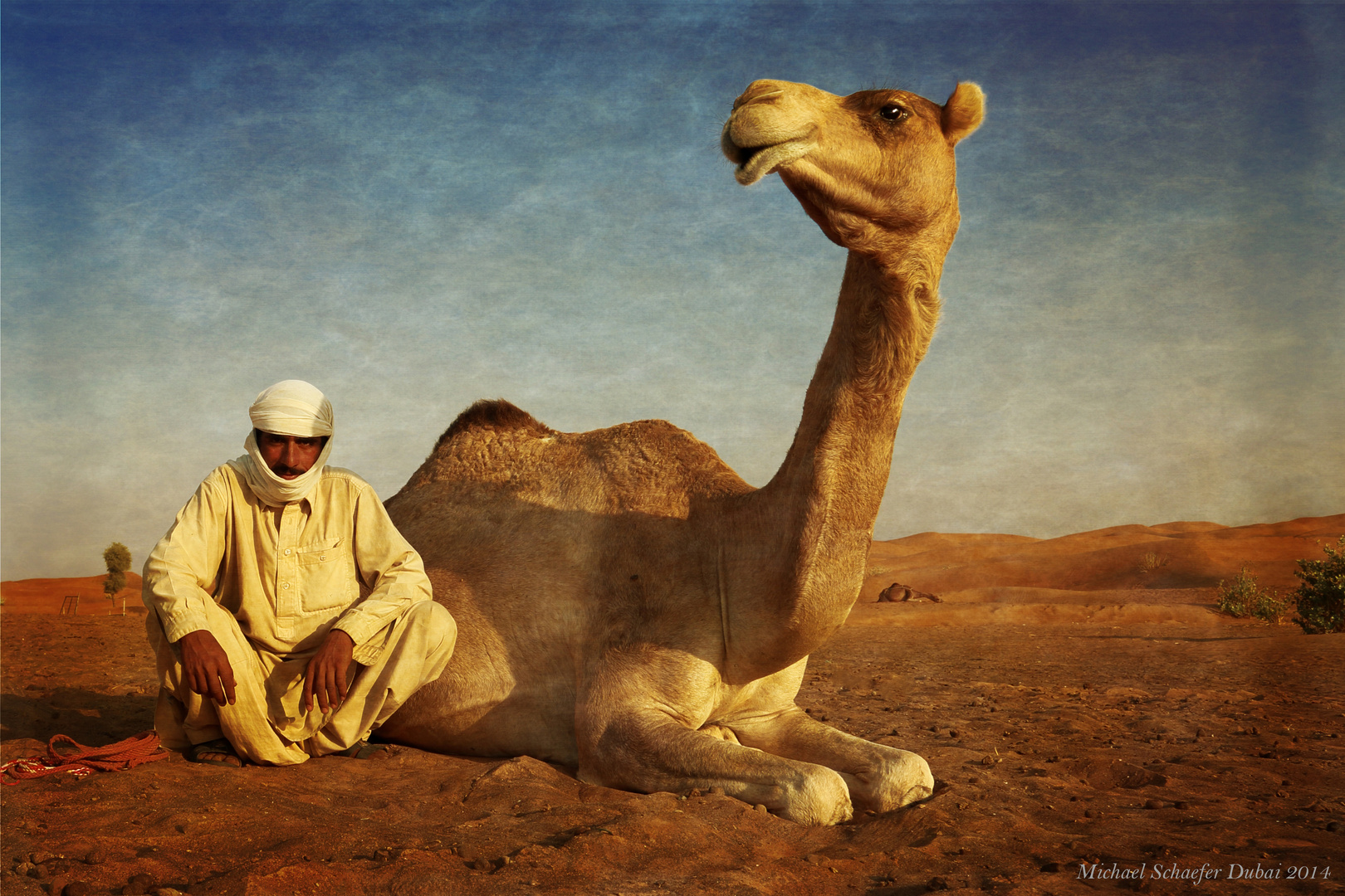 2022/03/beduin-and-his-camel-7c0ea53f-3970-4f3d-882b-2352a175325d