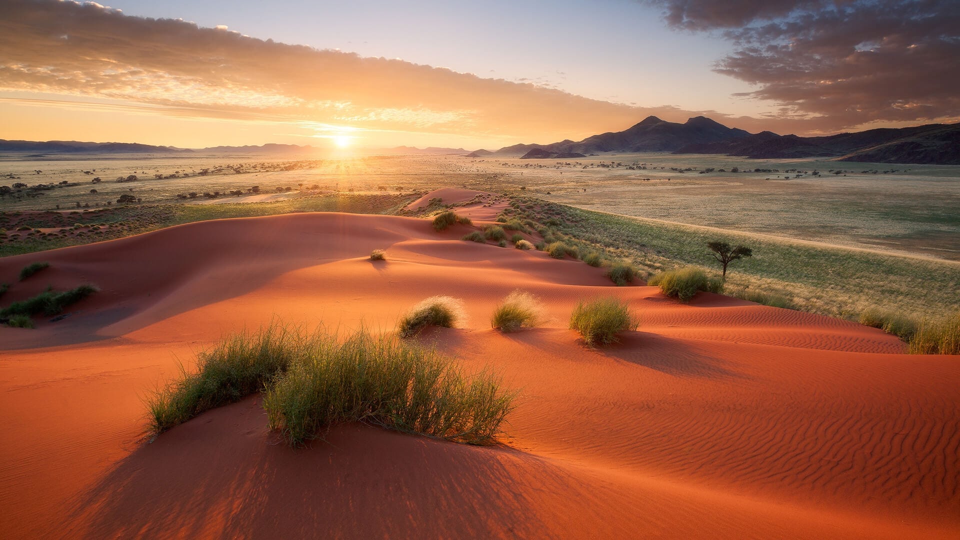 2022/03/namib-desert-tour-6