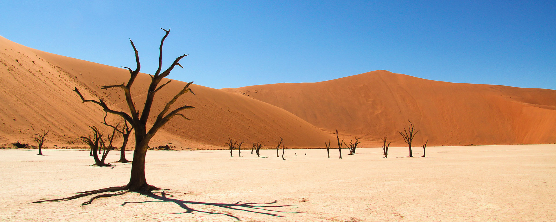 2022/03/namib-desert1