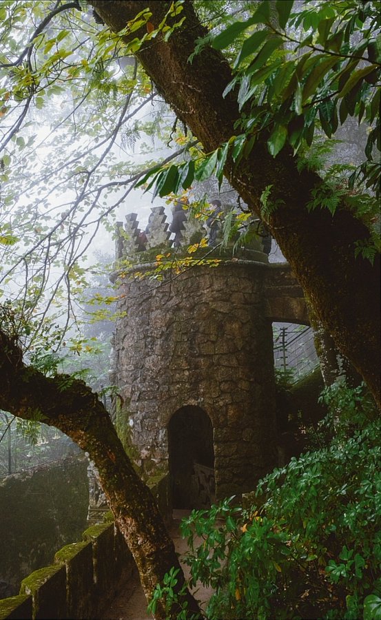 2022/03/quinta-da-regaleira-sintra-portugal