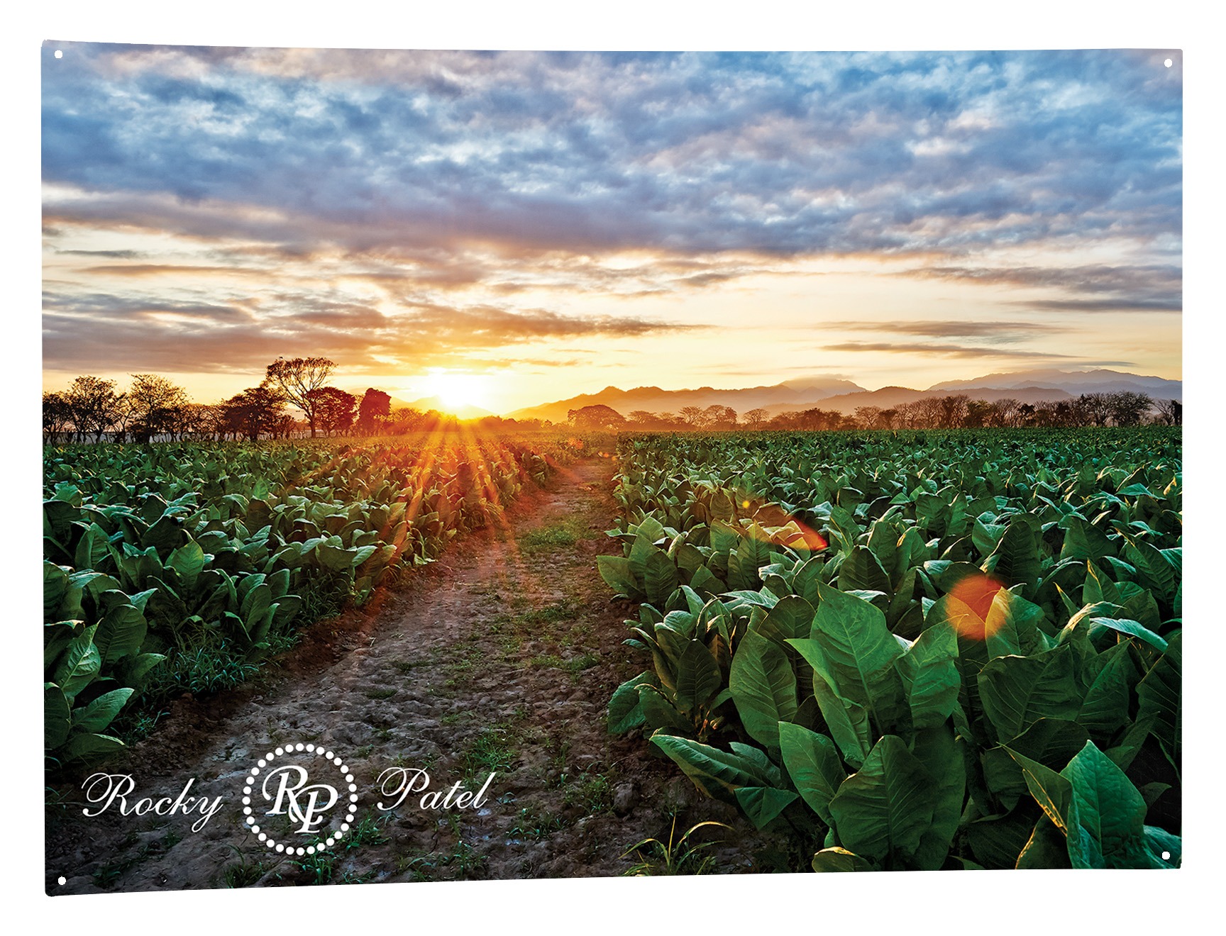 2022/03/tobacco-fields-metal-sign