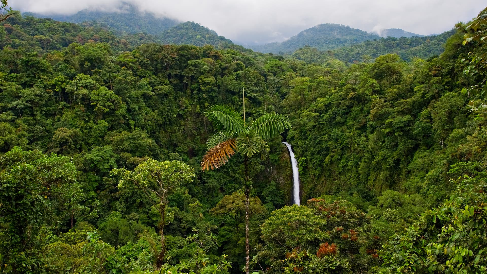 2022/06/regenwald-costa-rica-istock-92682580-ajsn-jpg-4571248