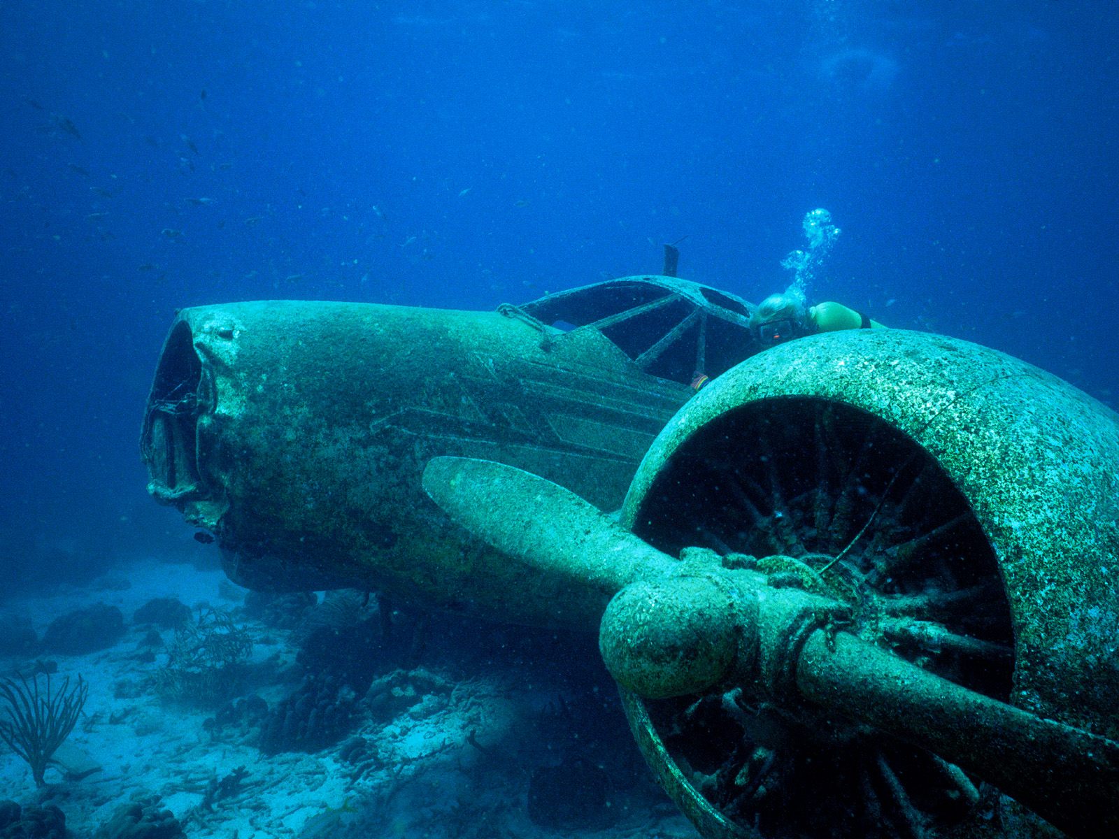 2022/12/airplanes-crash-wrecks-underwater-airplane-wreck-diving-disaster-desktop-1600x1200-wallpaper-177768