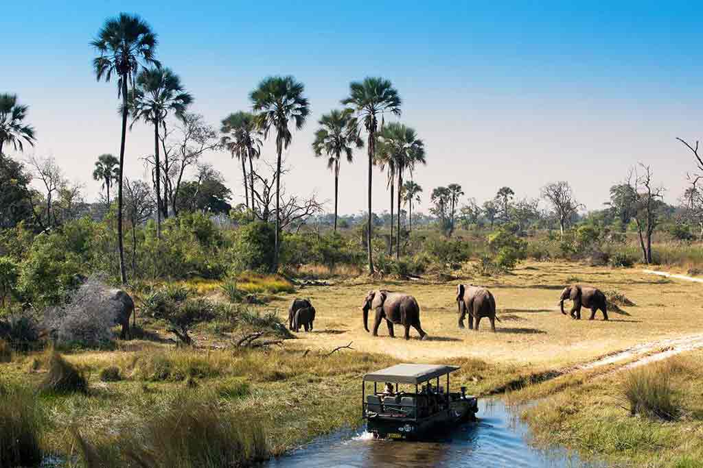 2023/04/b1-according-to-a-study-that-was-recently-carried-out-reveals-that-majority-of-tourism-facilities-in-botswana-are-owened-by-foreign-investors-pic-file-1-1