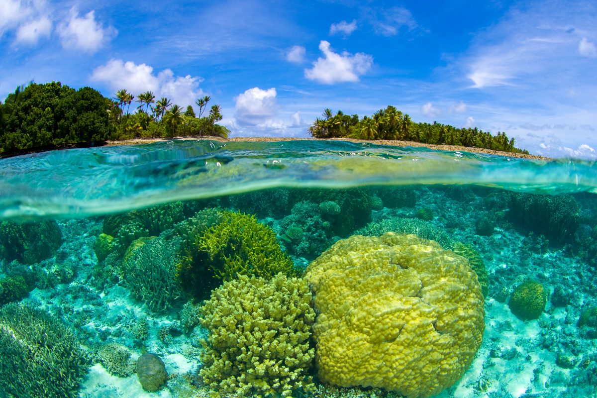 2023/05/marshallinseln-die-einzigartige-unterwasserwelt-des-majuro-atolls-der-marshall-inseln-zieht-eine-vielzahl-an-tauchern-an-luiz-a-rocha-shutterstock-1200x800