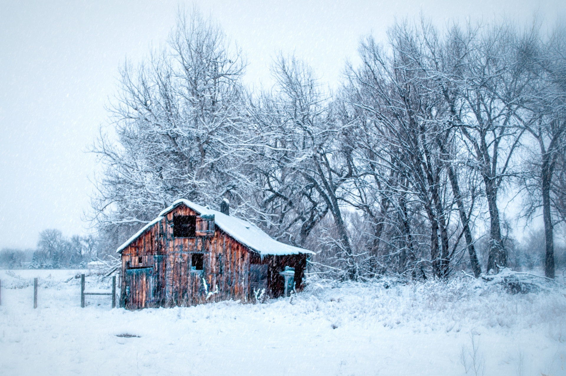 2023/11/boxelder-cabin-winter-snowfall