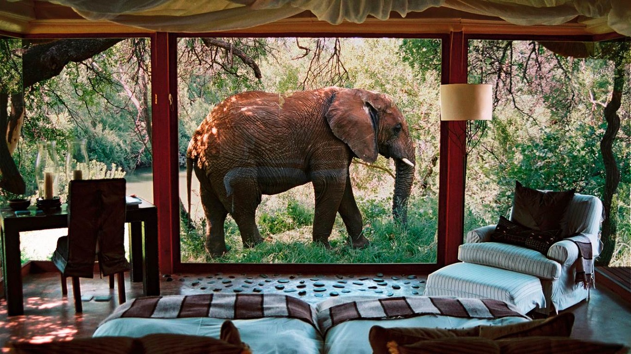 2023/11/sanctuary-makanyane-safari-lodge-north-west-province