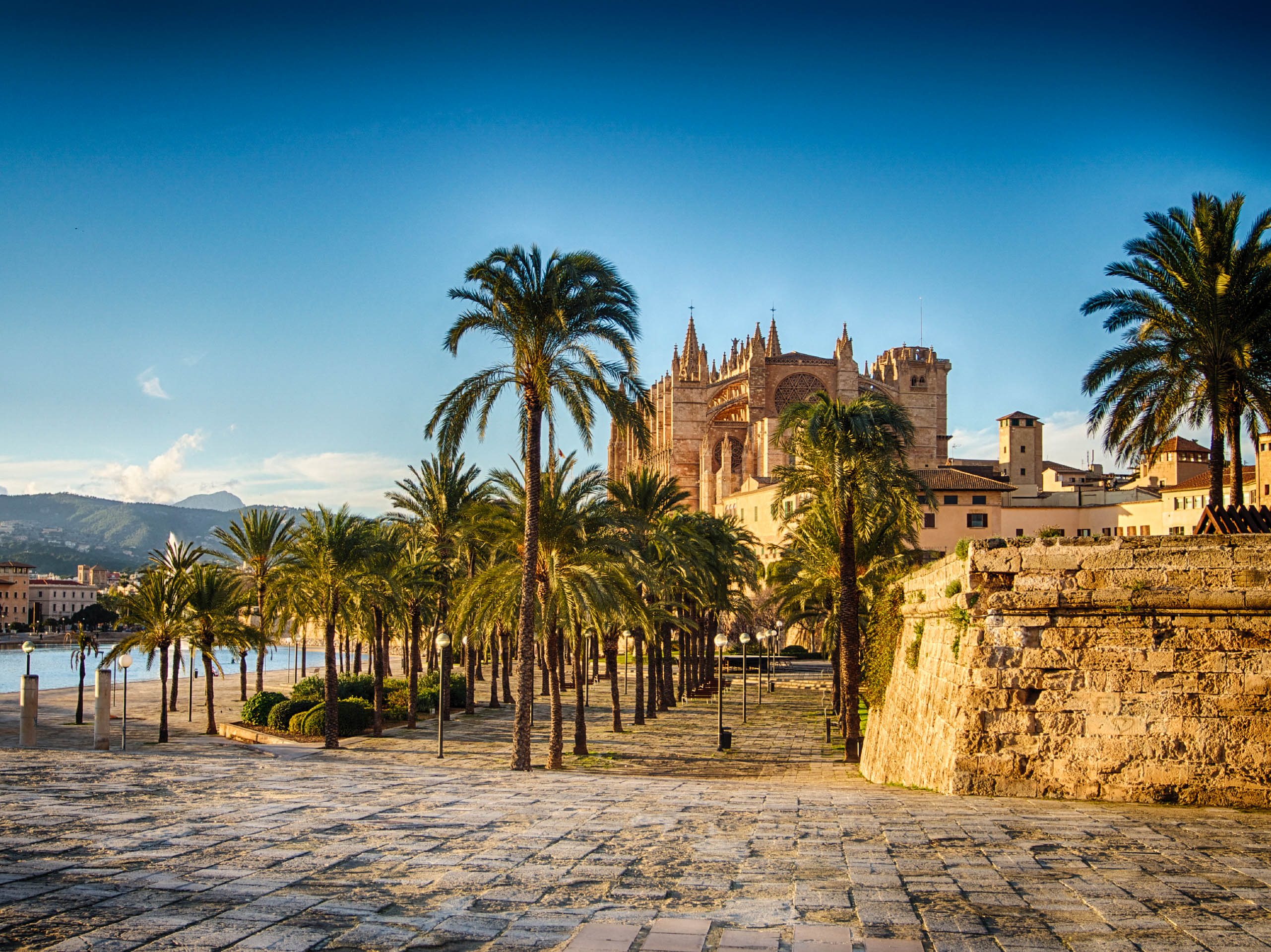 2023/12/kathedrale-von-mallorca-istock-000034721970-large-2-1