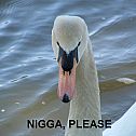 2009/05/1212256264001