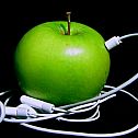 2009/05/apple