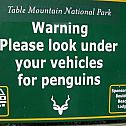 2009/05/look-for-penguins