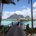 2009/05/spiegel-0-1020-1392258-00