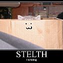 2009/05/steath
