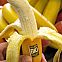 2009/05/die-topnews-bananen