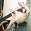 2009/05/img-5884-640pix