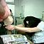 2009/05/pic-illu-5