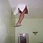 2009/05/picdump-38