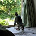 2009/06/79079619