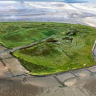 2009/06/spiegel-0-1020-1565510-00