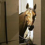 2009/08/boston-k29-18872763