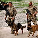 2009/11/stern-bundeswehr-afghanistan-05-maxsize-735-490