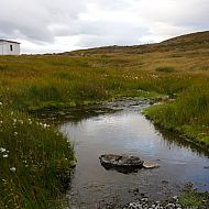 2009/11/spiegel-image-33767-galleryv9-otkr