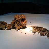 2009/12/krautchan-1261825188001