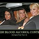 2010/01/their-blood-alcohol-content-demotivational-poster-1231547151