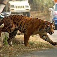 2010/01/spiegel-image-54344-galleryv9-qqfs