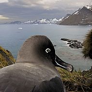 2010/02/stern-world-press-2010-21-maxsize-735-490