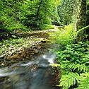 2010/09/polenz-saechsische-schweiz-national-park-germany