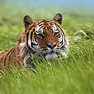 2010/09/1279141827001