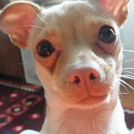 2010/09/1280348101439