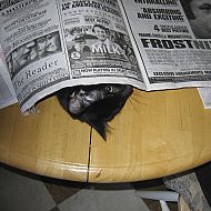 2010/09/1282258295001