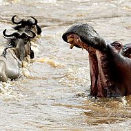 2010/09/2010-kw-34-26