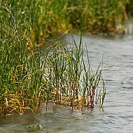 2010/09/g10-24633465